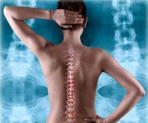 rear column illustration